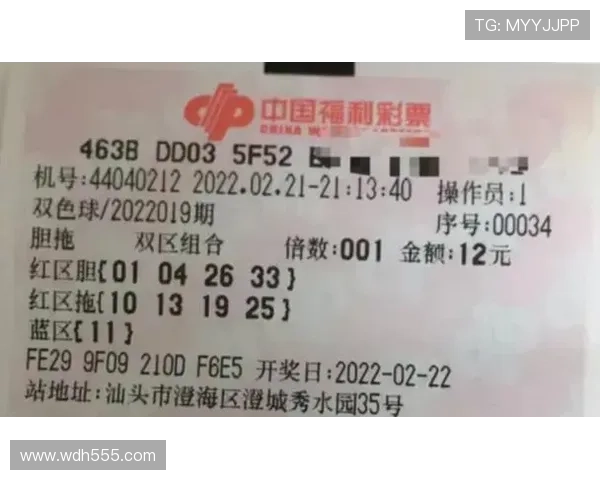 彩票085期开奖结果震撼揭晓，幸运号码花落谁家？